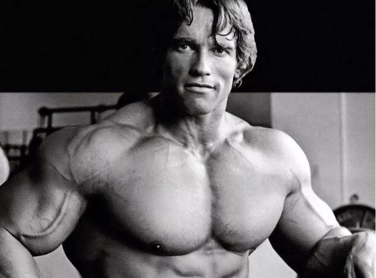 arnold schwarzenegger